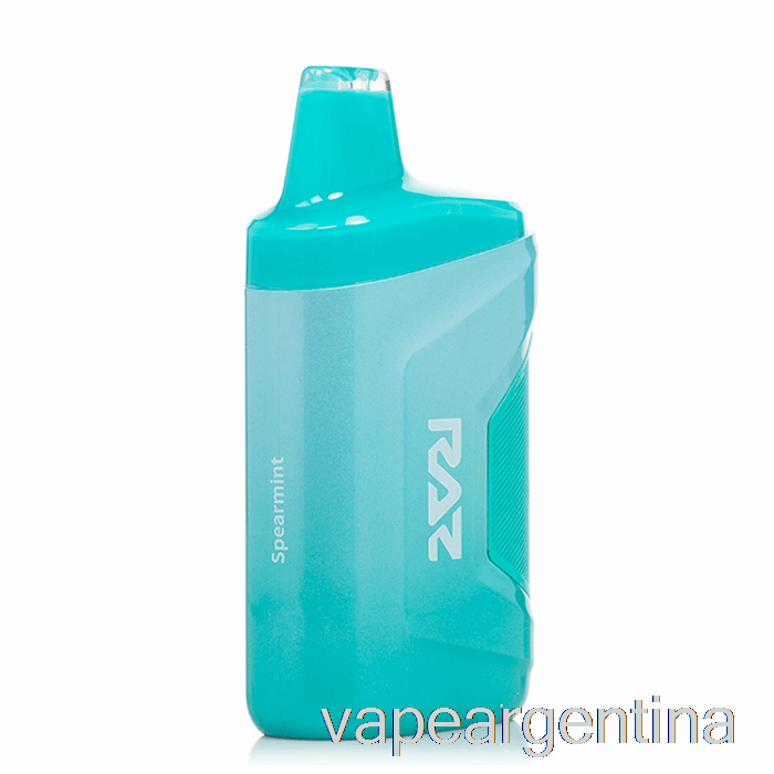 Vaporizador Desechable De Menta Verde Raz Ca6000 6000 Descartable